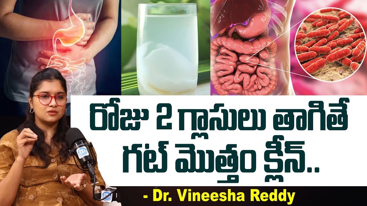 Functional Nutritionist Vineesha Reddy About Gut & Hormonal Health @vineeshareddyenglish
