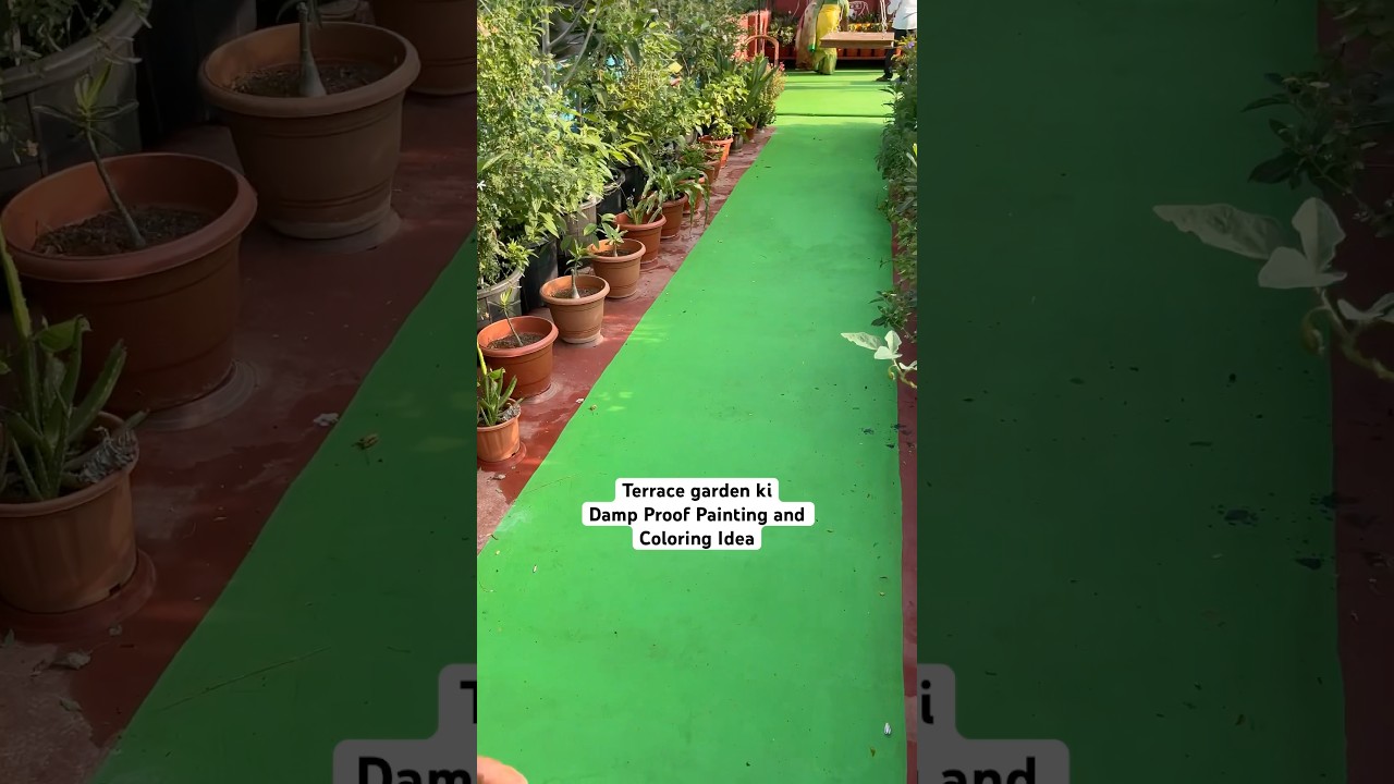 Water leakage problem for Terrace garden ? 