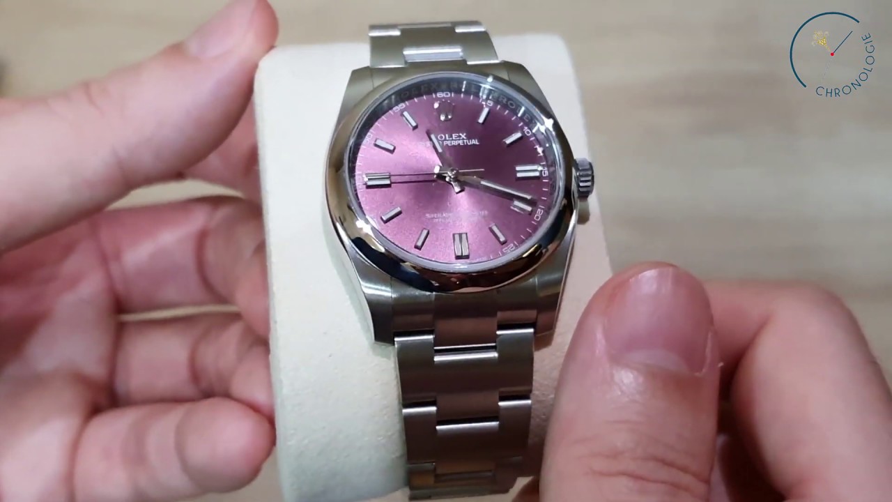 oyster perpetual 36 red grape