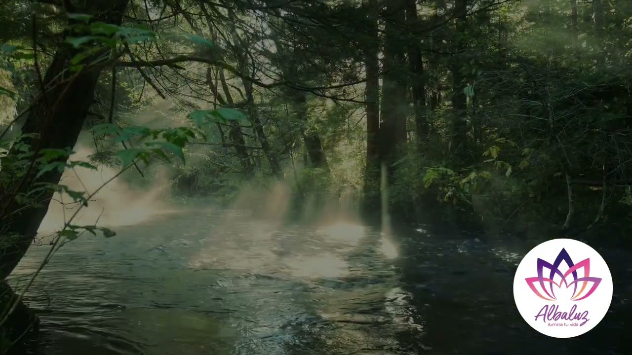 Meditación ancestral 2026