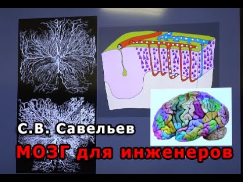 С.В. Савельев - Мозг для инженеров