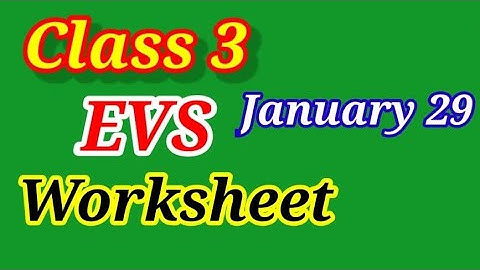 STD 3/ EVS/ VICTERS CLASS WORK SHEET/ JANUARY 29