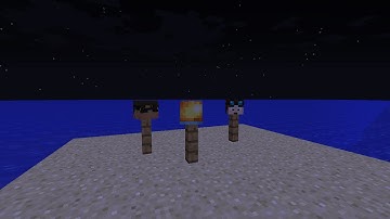 How to get custom heads in Minecraft (1.8.7)