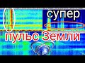 Частота Земли обзор графиков Резонанса Шумана из разных стран 23.09.2021 и 24.09.2021 год