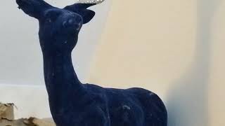 Philips 1410 music centre \u0026 Teac 850 AD tape deck