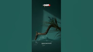 (ياايتها النفس المطمئنه) الشيخ رعد الكردي /حالات واتس /قران كريم