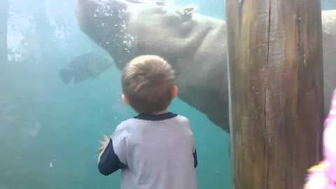 October 24, 2010 12:35 PM