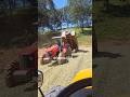 Trator massey Ferguson 4275 descarregando a silagem de milho #trator #pecuarista #agro