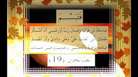 القرآن الكريم سورة النمل الأية 19 قراءة السديس.wmv