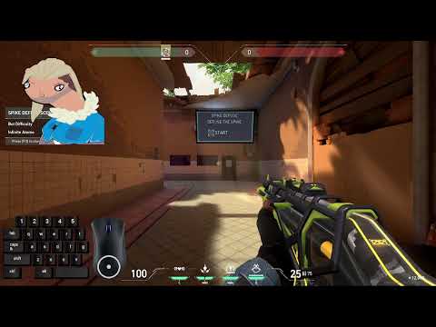 Test Stream