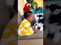 Cute Puppy Playing With Baby 🥺❤️#shorts #puppy #babyandpuppy #cutepuppy #dogshorts