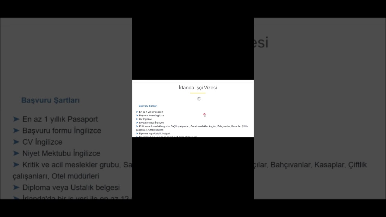 İRLANDA İŞÇİ VİZESİ