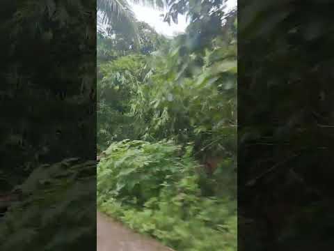 Barangay marangi road