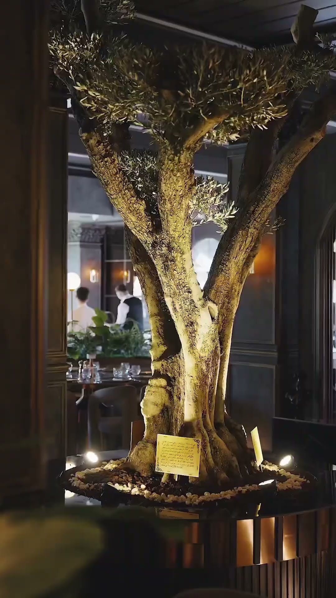 Chef CZN Burak Etiler'de Açıldı Hayırlı Olsun #shorts