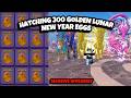 Hatching 300+ Golden Lunar New Year Eggs in Dragon Adventures Roblox