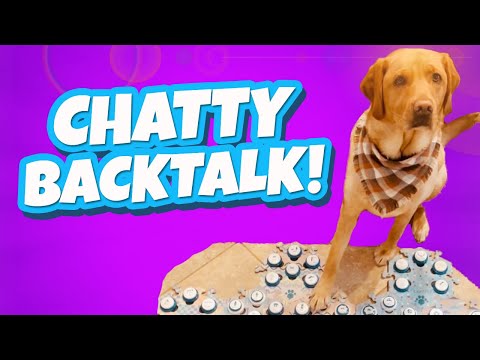 Chatty Backtalk!