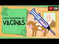 Quiz sobre Vacas e Vacinas