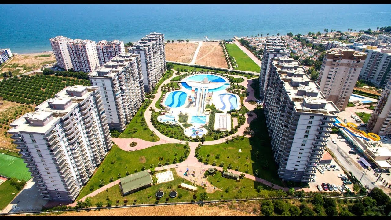 Liparis Sunflowers 1 - Липарис Санфлаверс 1 - Чешмели / Мерсин - YouTube