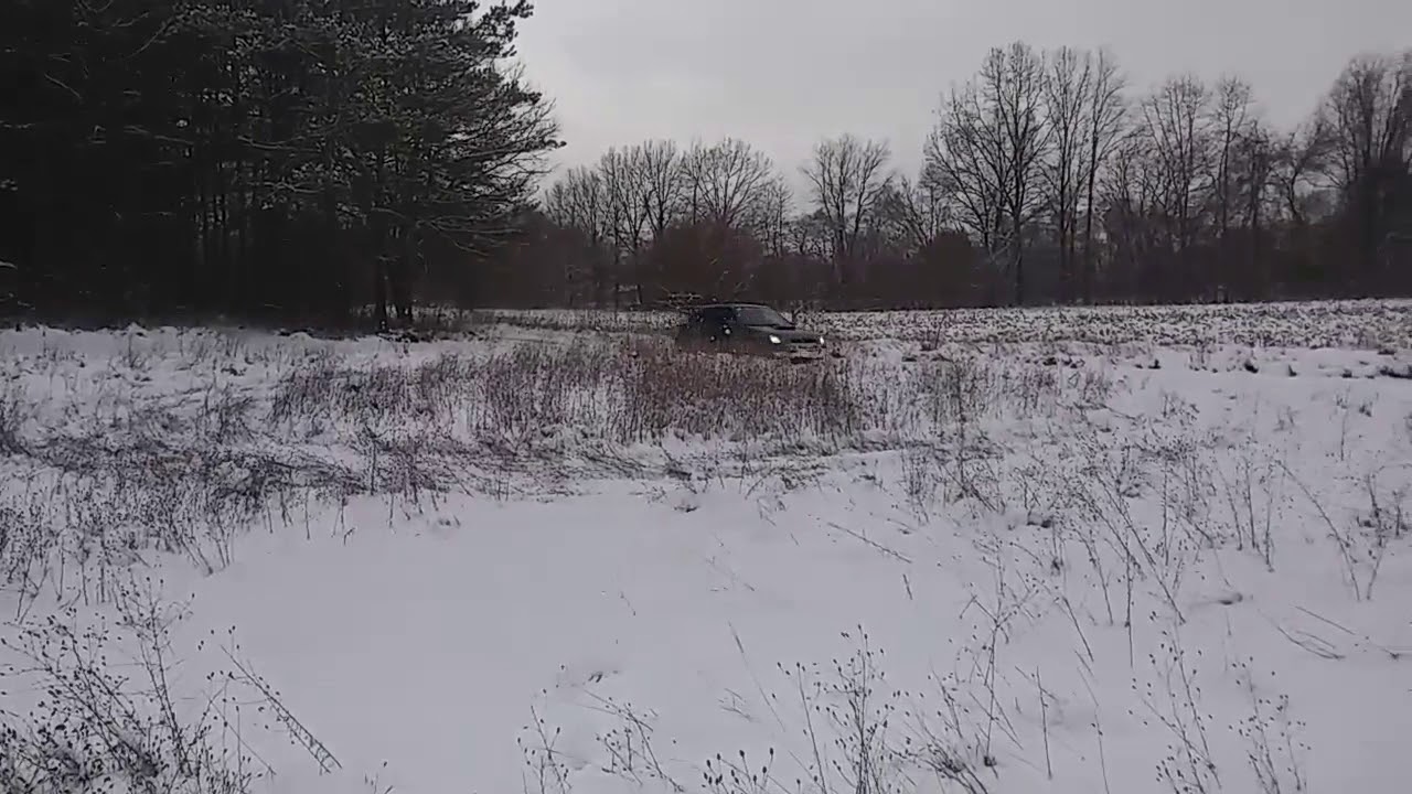 DJS_WRX my first donuts in my subie!