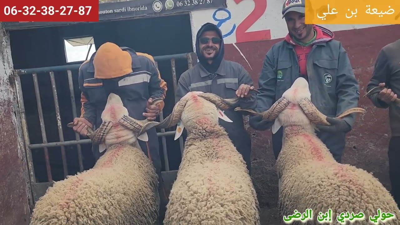 الجزء تاني تشكيلة لي خطيرت من لفحول الممتازة لي غادي نخدم بيها إن شاء الله الموسم 2026  2027 🇲🇦✌️🥇