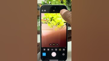 How to Set A Timer On iPhone Camera | IPhone Camere Timer Guide #iphone #timer #iphonecamera