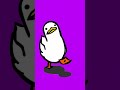 I’m a walking duck