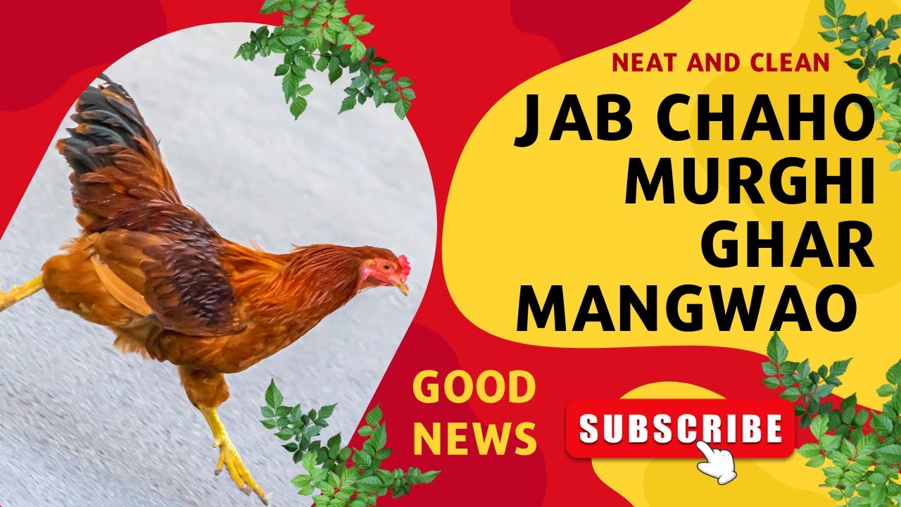 How to order Online Chicken | Offering Online Meat delivery 