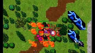 Black Label Tibia Elf - OTBR