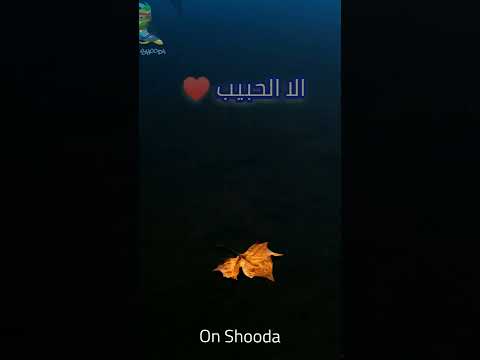 امتي براء مسعود Ummati Baraa Masoud