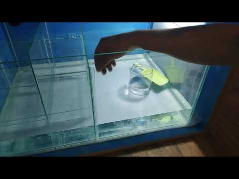 Худший герметик для аквариума