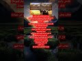 قصة رائعة عن مكارم الأخلاق قصة وعبرة قصص واقعية قصص حقيقية حكايات عالميه معلومات عامه مفيده قصة رائعة عن مكارم الأخلاق قصة وعبرة قصص واقعية قصص حقيقية حكايات عالميه معلومات عامه مفيده