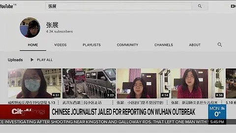 Chinese journalist jailed for reporting on Wuhan COVID-19 outbreak - DayDayNews