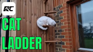 How I Created An Amazing Cat Ladder! Must-watch Tutorial!
