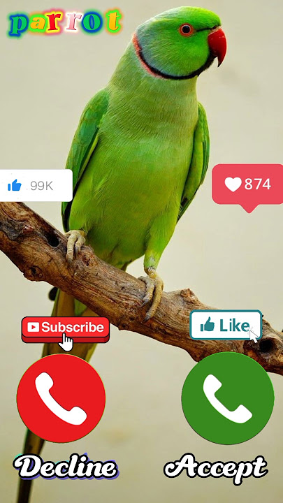 Ringtone sounds effects 😁😄🤔 #ringtone @CEOCATI-B