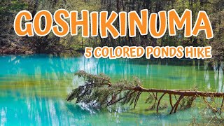 Japan's Most COLORFUL Hiking Trail! Goshikinuma Pond Fukushima (5 Colored Pond Hike)