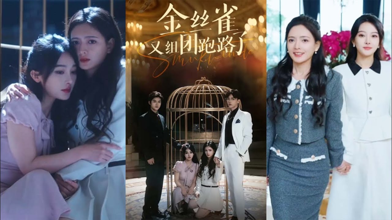 金丝雀的反击：逃离权贵控制的抗争