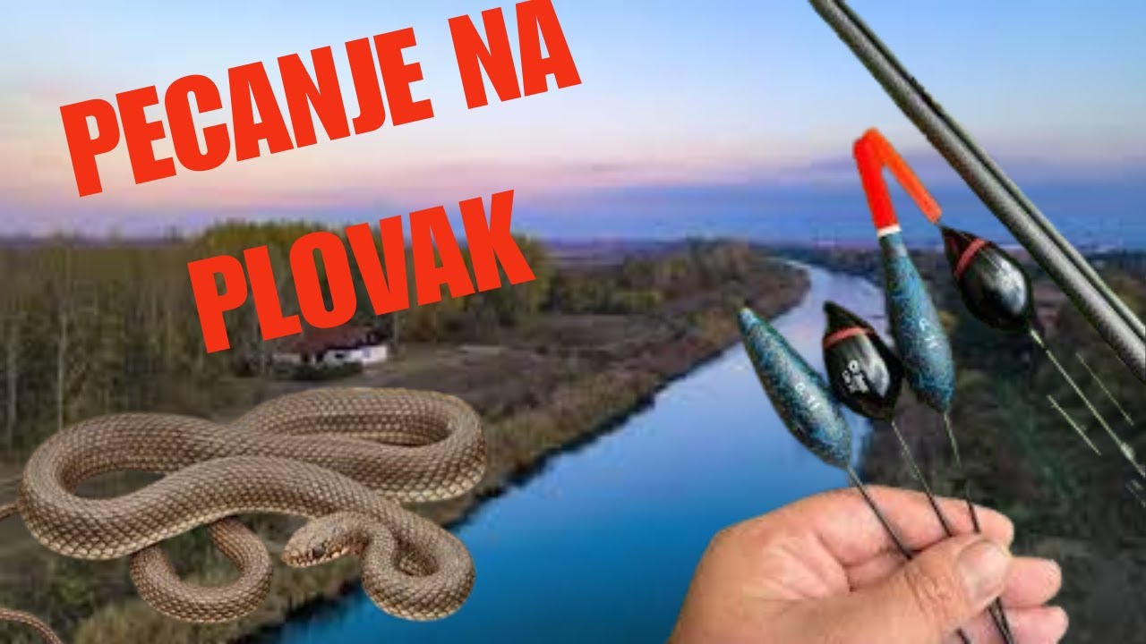 Napala Me Velika ZMIJA Na Pecanju