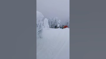 When they avy bag goes off on accident 😤😡🤬