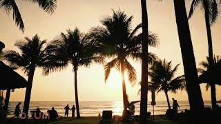 Escape to Paradise– A Cinematic Sri Lankan Beachfront Hotel Tour #fypシ゚viral #viral #shorts #foryou