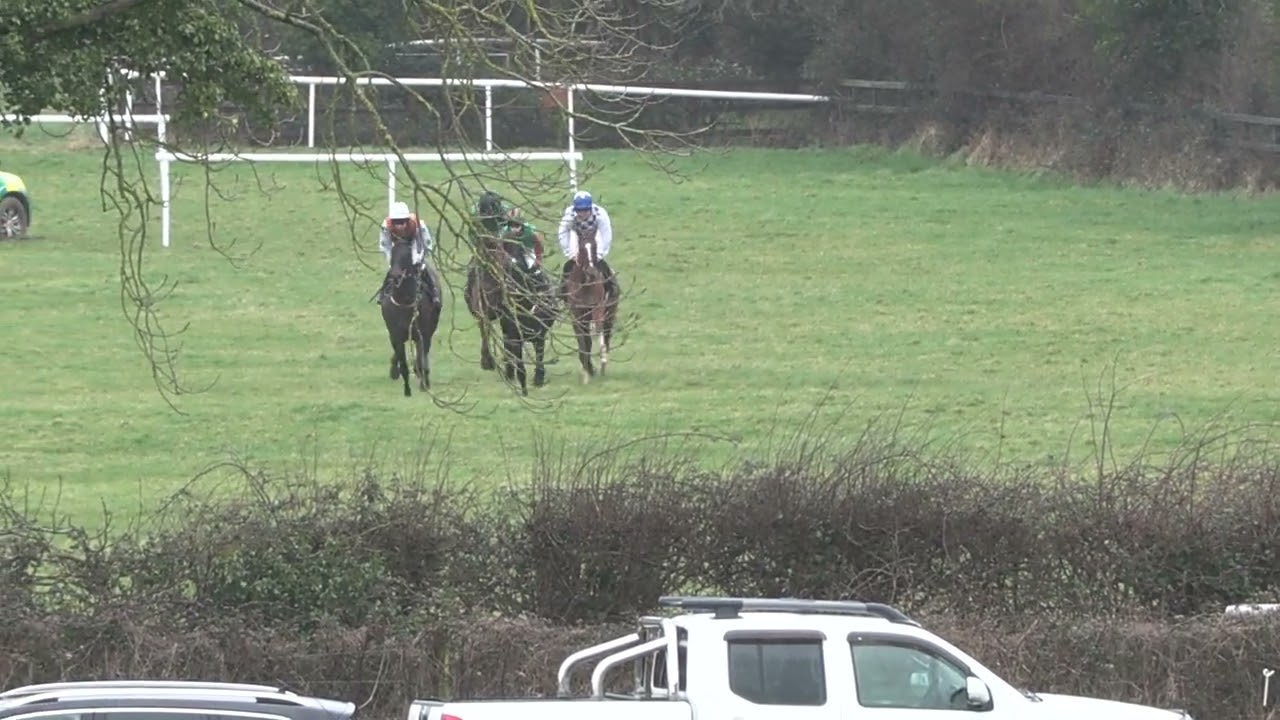 P2P - Oldtown - 21 Feb 26 - R1 Goffs Arkle Sale 4yo Maiden