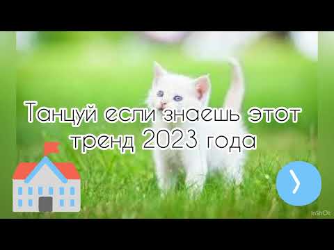 видео: 🐈‍⬛ТАНЦУЙ ЕСЛИ ЗНАЕШЬ ЭТОТ ТРЕНД🐈/ТРЕНДЫ ТИК ТОК🐈‍⬛