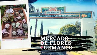 Mercado de flores y plantas cuemenco