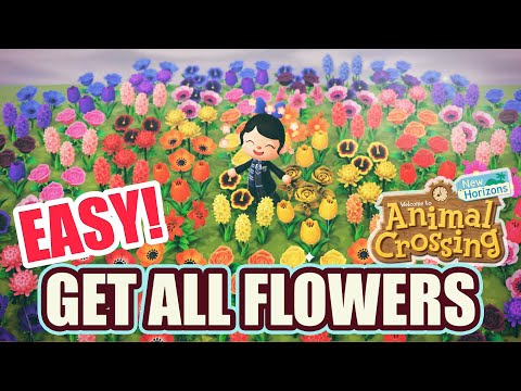 Video: Animal Crossing Flowers: Hybridy, Křížení A Barevné Kombinace V New Horizons Vysvětlil