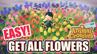 How to: Get ALL HYBRID FLOWERS EASILY in Animal Crossing New Horizons screenshot 4