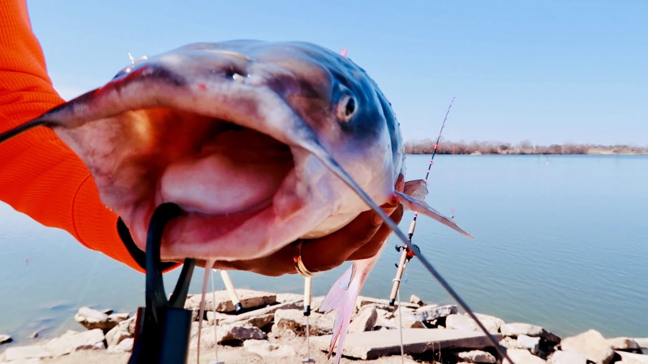 Early Spring Catfishing From The Bank! YouTube