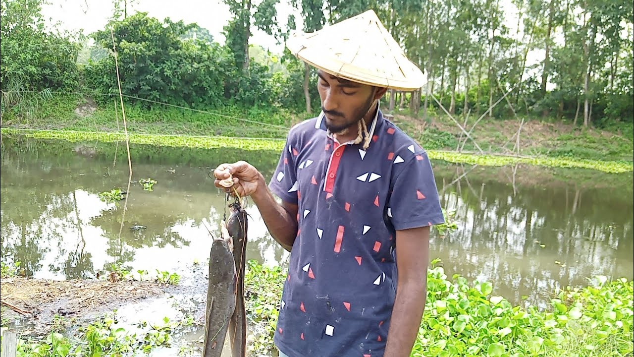 Fishing for catfish with Chicken Liver ৷ Best fishing Video 2020 YouTube
