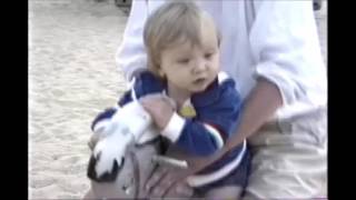 Stone Harbor Vacation 1988