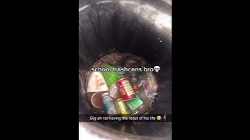Even the school trash cans💀 #meme #memes