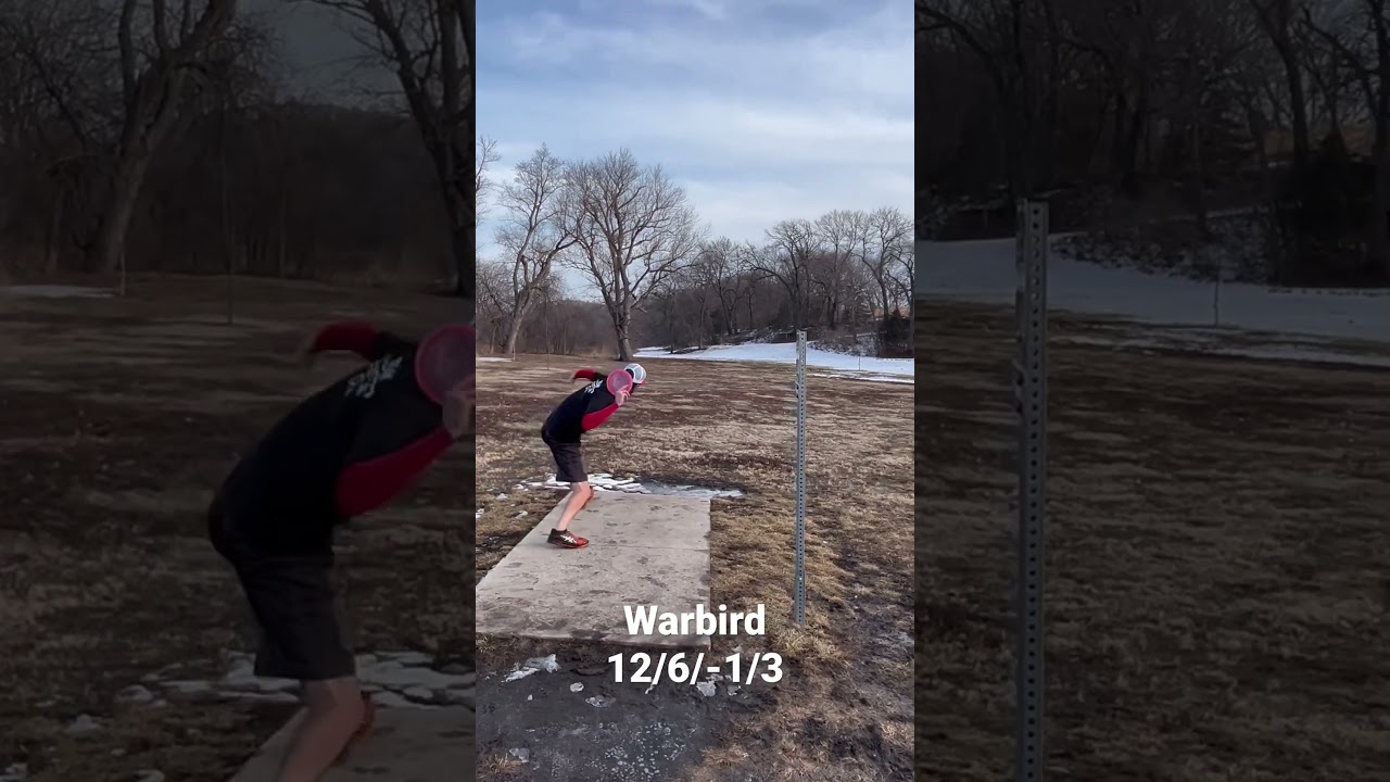 Warbird is the Driver You Need! 