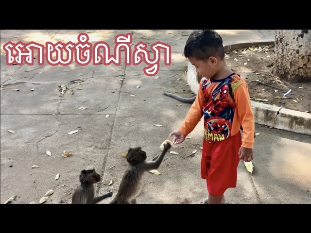 Khmer Vlog#32 ,អោយចំណីស្វា,Feed The Monkeys,Roth Vlogger class=